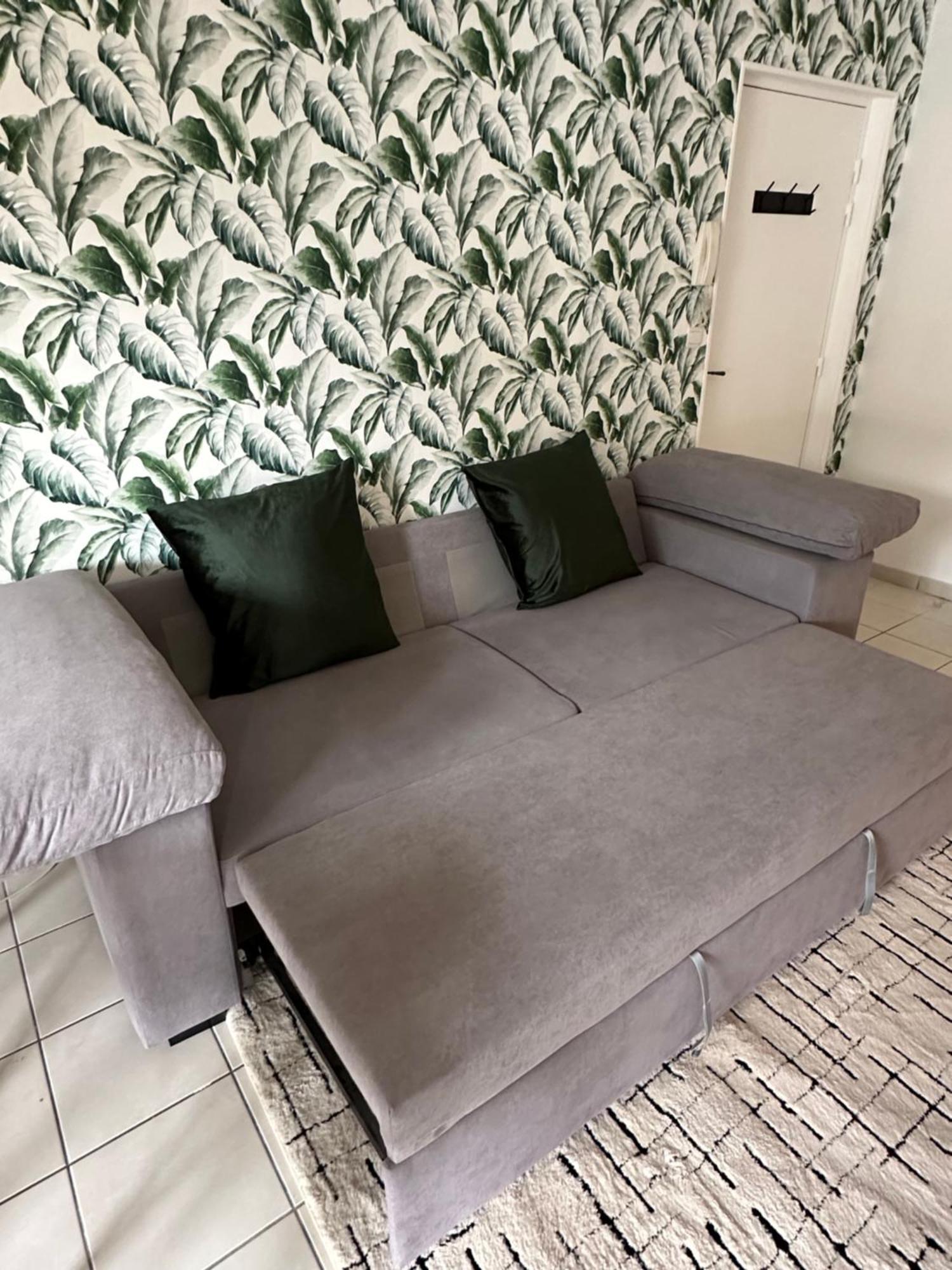 רואה Appartement Entierement Renove מראה חיצוני תמונה