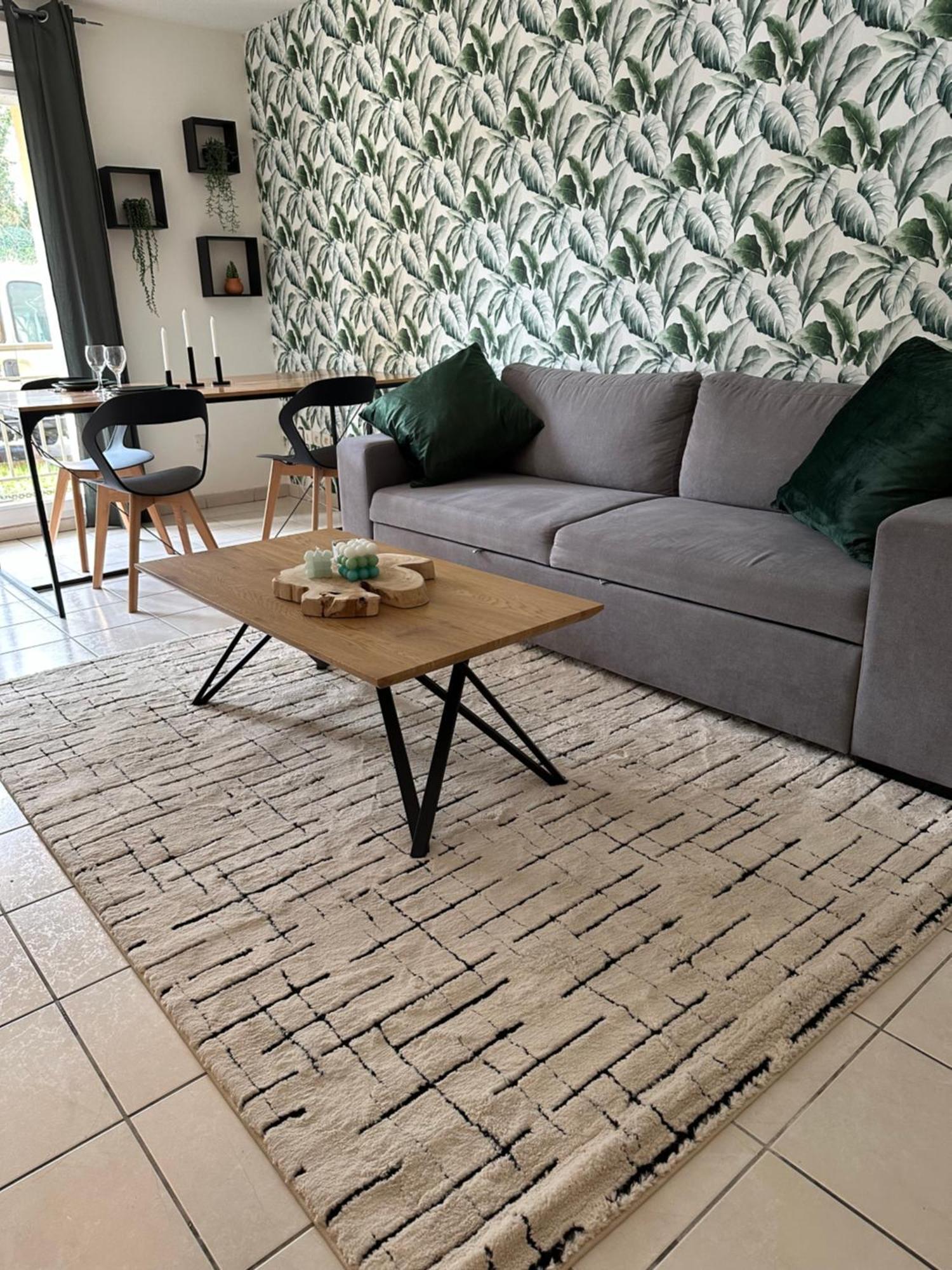רואה Appartement Entierement Renove מראה חיצוני תמונה